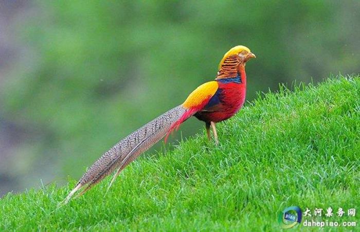 泉州海絲野生動(dòng)物世界 泉州海絲野生動(dòng)物世界