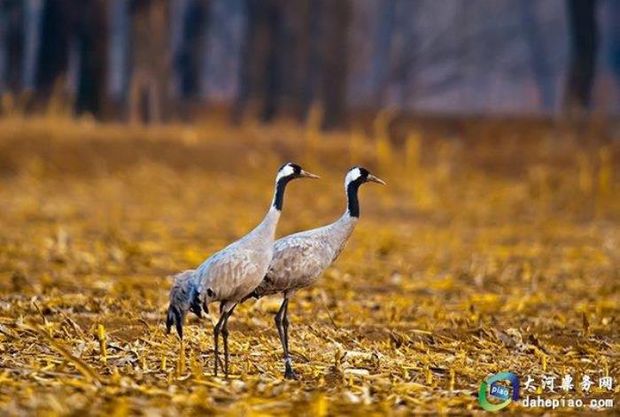泉州海絲野生動(dòng)物世界 泉州海絲野生動(dòng)物世界