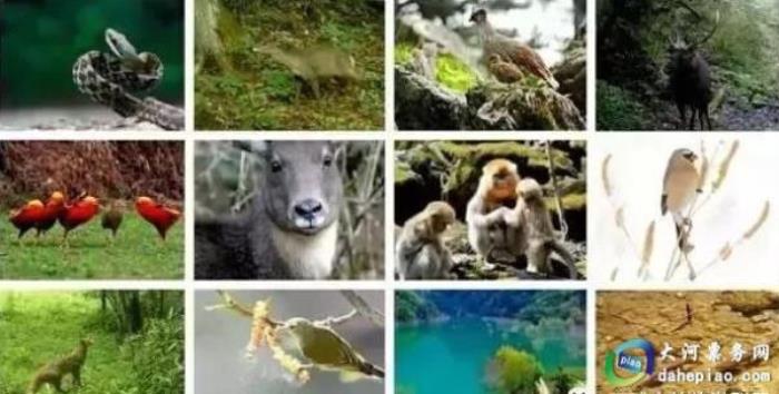 泉州海絲野生動(dòng)物世界 泉州海絲野生動(dòng)物世界