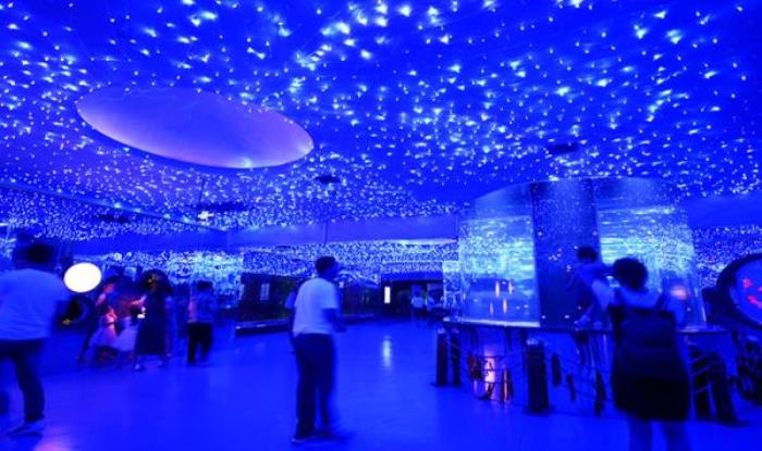 蘭州極地海洋世界