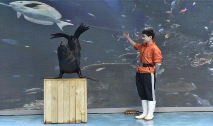 蘭州極地海洋世界