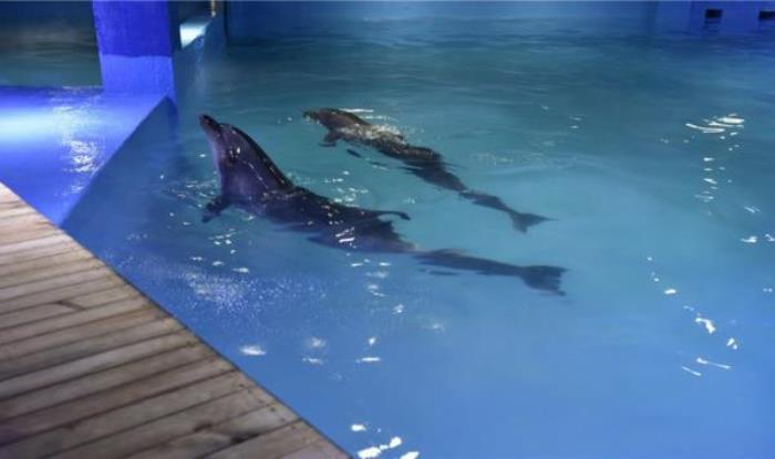 蘭州極地海洋世界