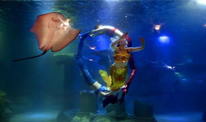 蘭州極地海洋世界