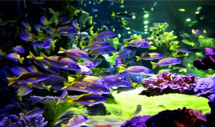 蘭州極地海洋世界