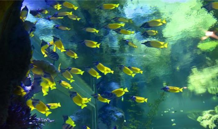 蘭州極地海洋世界