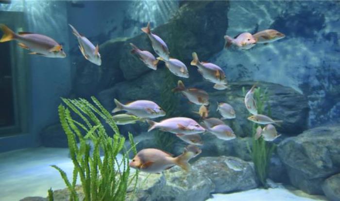 蘭州極地海洋世界