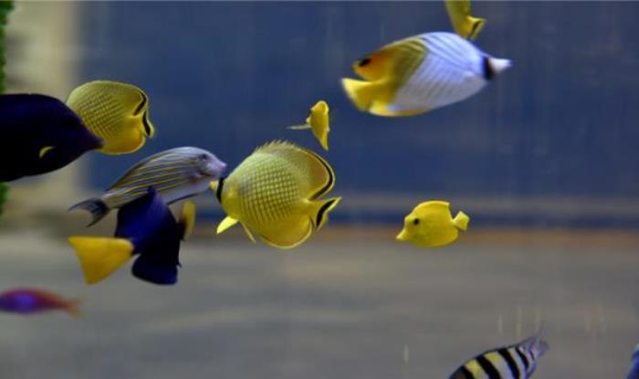 蘭州極地海洋世界