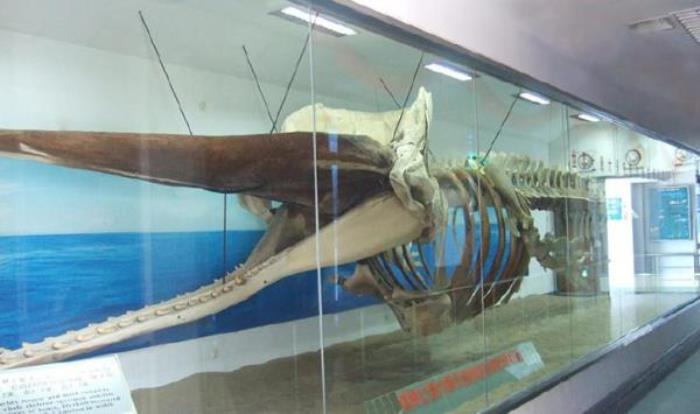 廈門海底世界 廈門海底世界