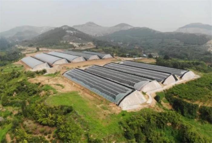 濰坊青州鳳凰臺風景區(qū)