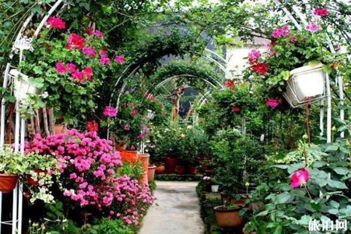 三圣花鄉(xiāng) 三圣花鄉(xiāng)