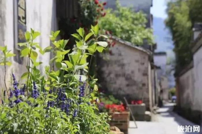 黟縣打鼓嶺景區(qū)