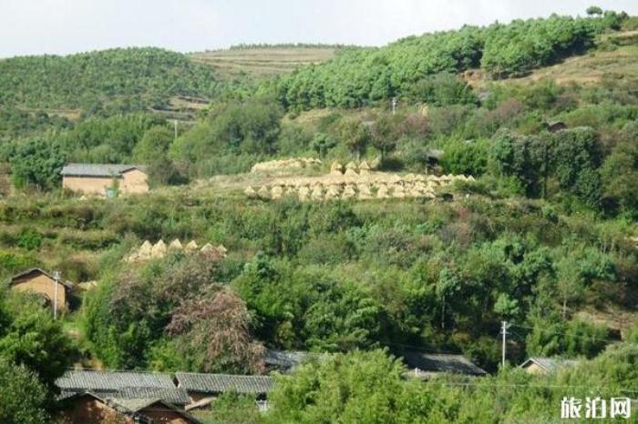 巧家藥山自然保護區(qū) 巧家藥山自然保護區(qū)