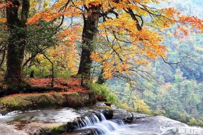 昭通小草壩風(fēng)景區(qū)