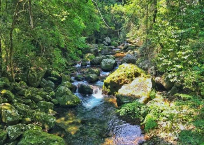 天門(mén)山漂流 天門(mén)山漂流