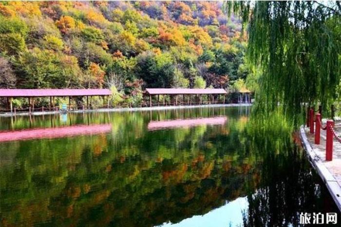 陽泉翠楓山介紹