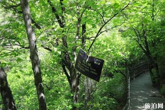 陽泉翠楓山介紹