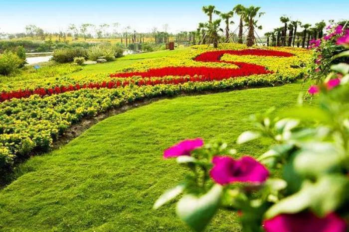 上海周浦花海生態(tài)園 上海周浦花海生態(tài)園