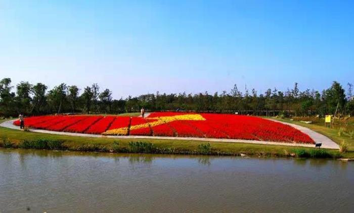 上海周浦花海生態(tài)園 上海周浦花海生態(tài)園