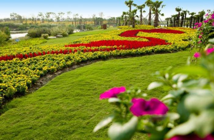 上海周浦花海生態(tài)園 上海周浦花海生態(tài)園