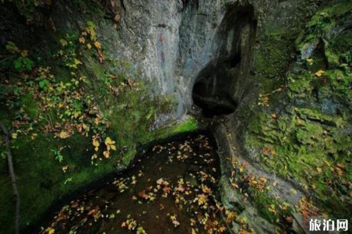 鳳陽(yáng)狼巷迷谷風(fēng)景區(qū) 鳳陽(yáng)狼巷迷谷風(fēng)景區(qū)