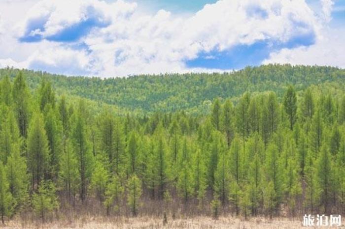 莫爾道嘎國(guó)家森林公園