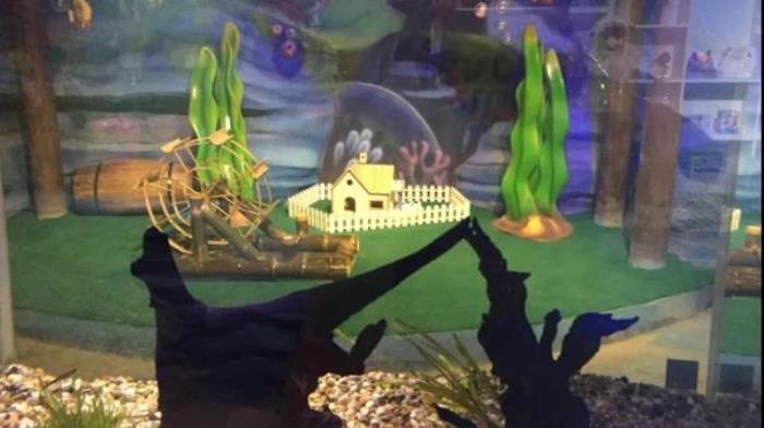 杭州-酷嗒動物文化樂園 杭州-酷嗒動物文化樂園