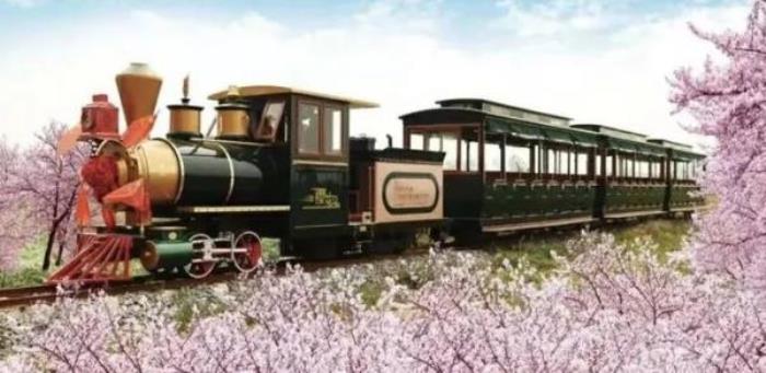 正定古城櫻花小鎮(zhèn) 正定古城櫻花小鎮(zhèn)