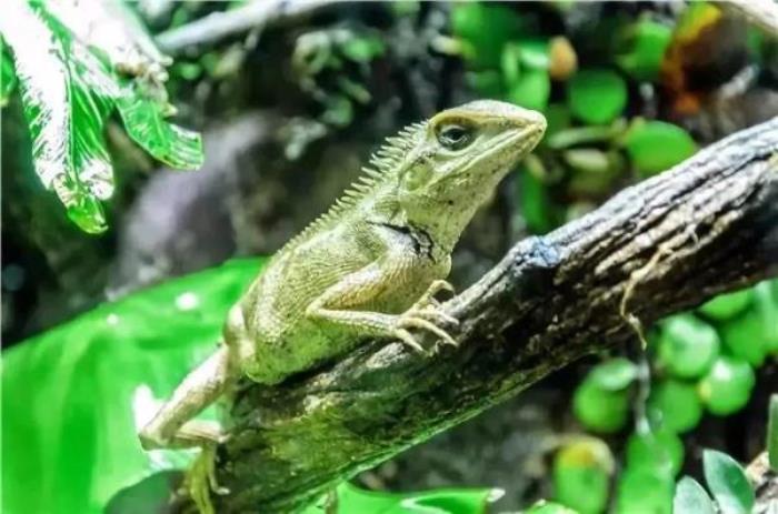 杭州-酷嗒動物文化樂園 杭州-酷嗒動物文化樂園