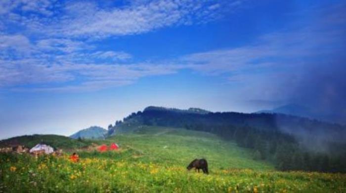 駝梁風(fēng)景區(qū)