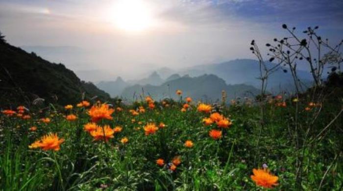 駝梁風(fēng)景區(qū) 駝梁風(fēng)景區(qū)