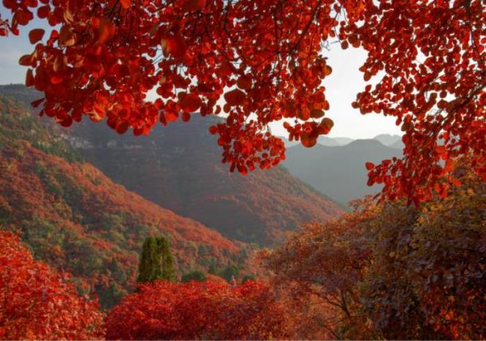 臨朐石門坊風景區(qū)