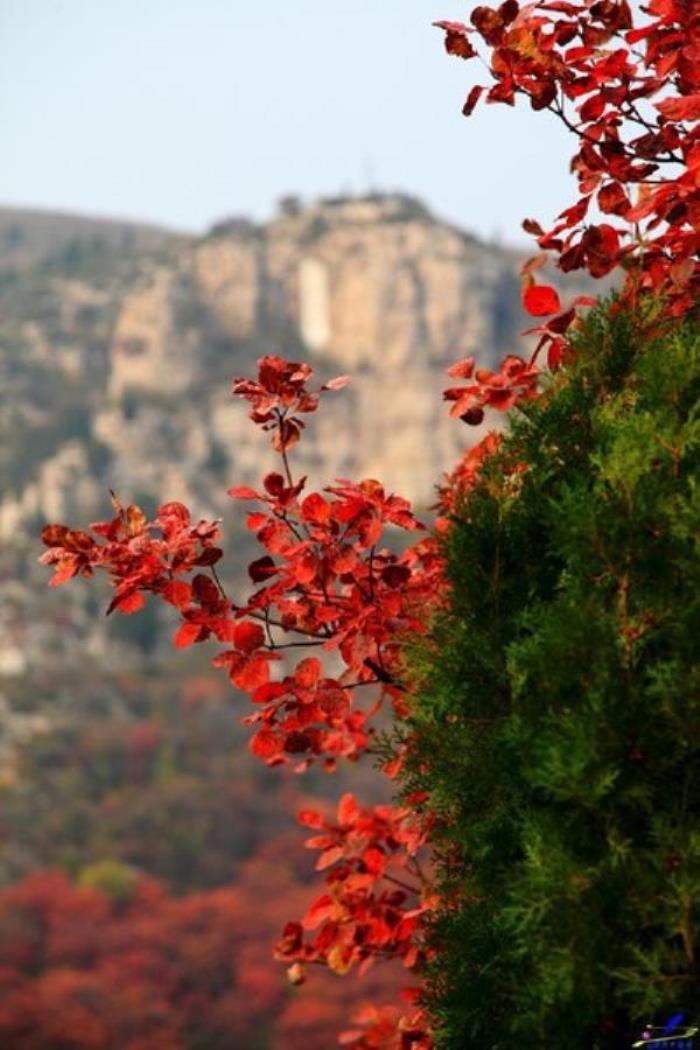 臨朐石門坊風景區(qū)