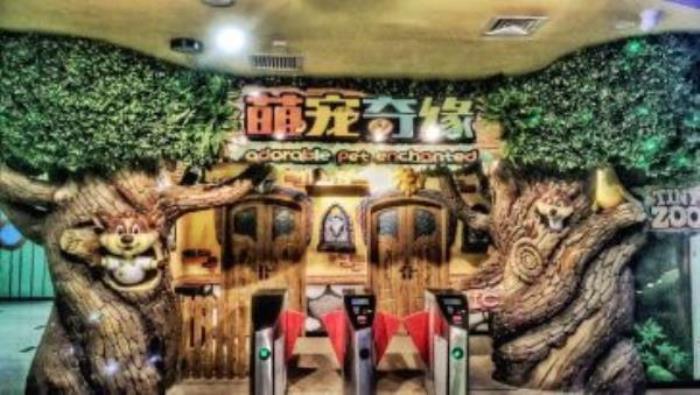 萌寵奇緣 萌寵奇緣