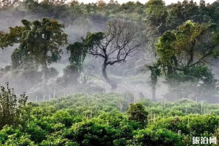 桂林漓江逍遙湖景區(qū)