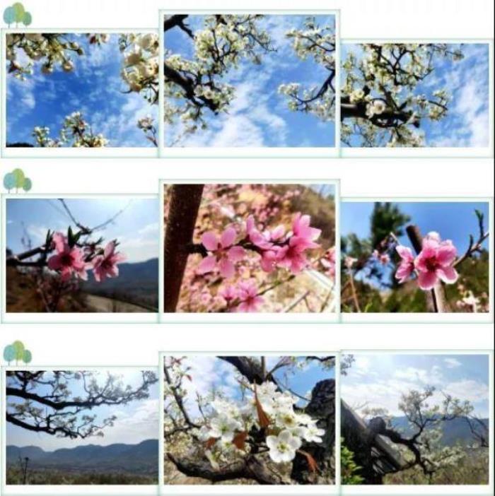 濰坊青州天賜山