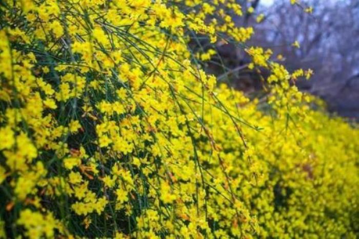 濰坊青州天賜山