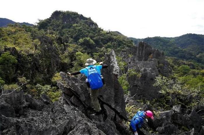毛感千龍洞 毛感千龍洞