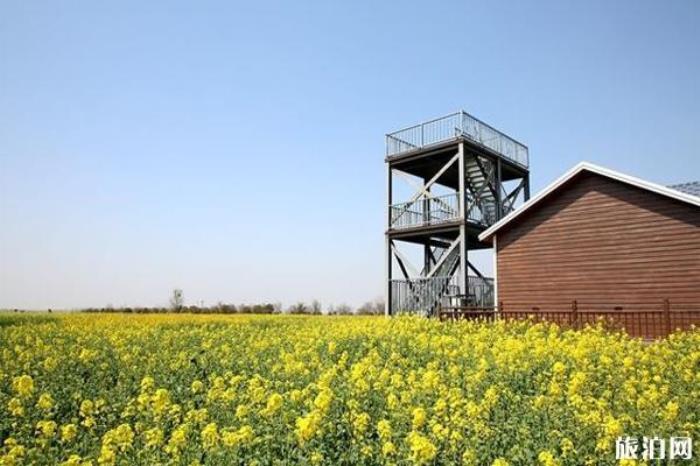 小崗村鄉(xiāng)村旅游區(qū) 小崗村鄉(xiāng)村旅游區(qū)