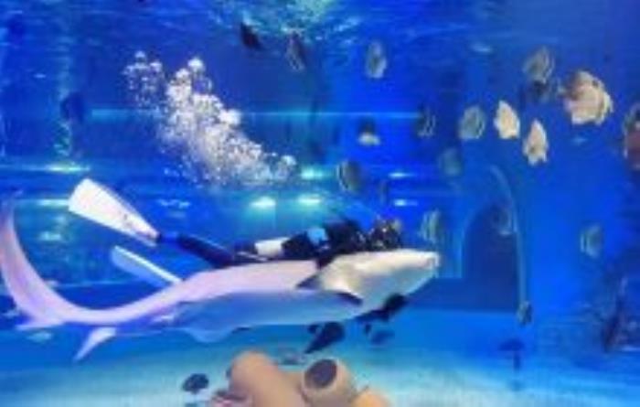 天津文化中心海底世界天津景點