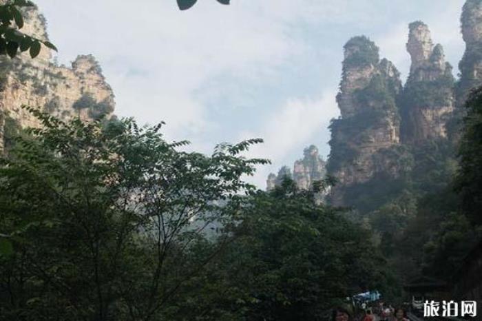 張家界十里畫廊景區(qū) 張家界十里畫廊景區(qū)