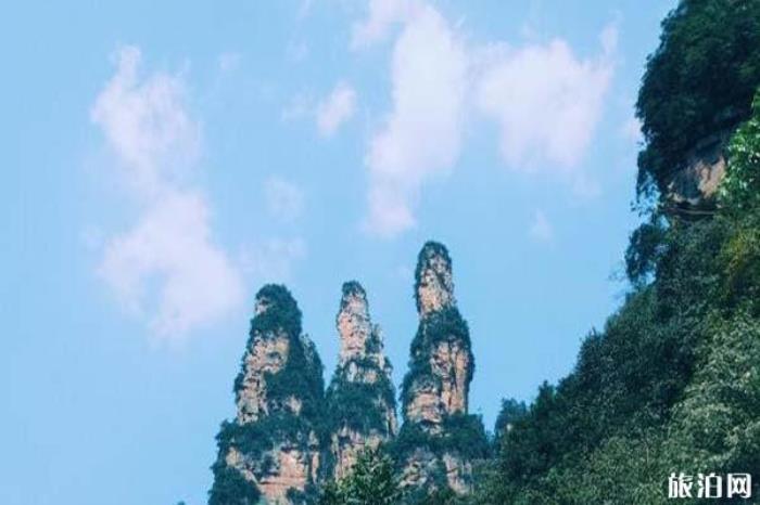 張家界十里畫廊景區(qū) 張家界十里畫廊景區(qū)