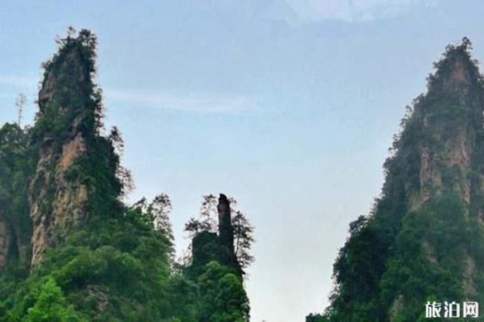 張家界十里畫廊景區(qū) 張家界十里畫廊景區(qū)