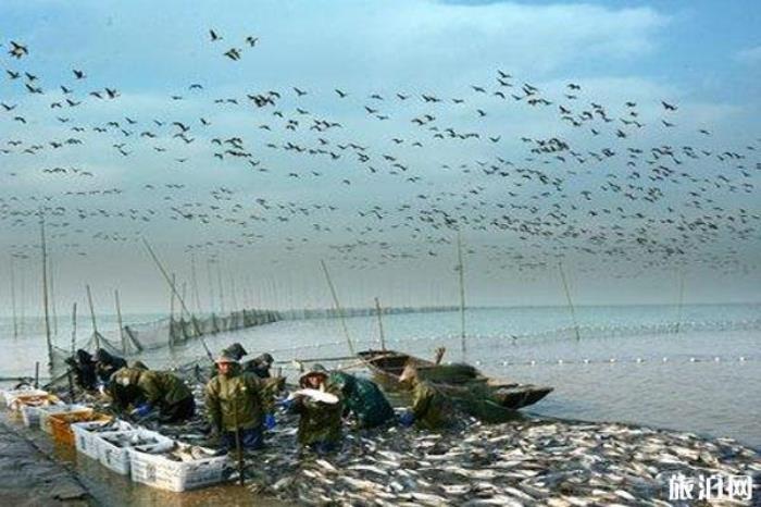 桐城嬉子湖生態(tài)旅游區(qū) 桐城嬉子湖生態(tài)旅游區(qū)