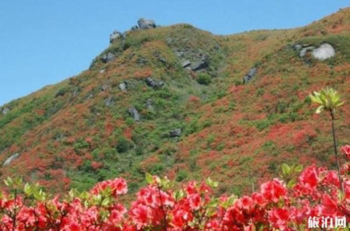 古風(fēng)洞 古風(fēng)洞