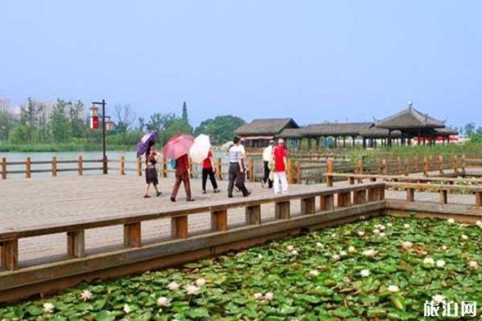 長(zhǎng)沙洋湖濕地 長(zhǎng)沙洋湖濕地