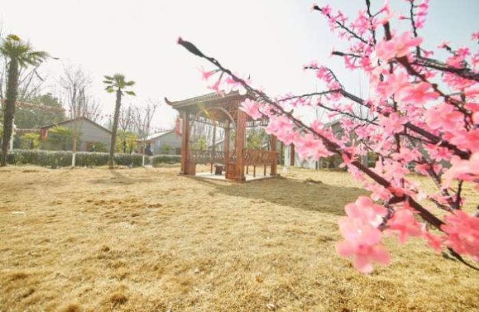 星期8古鎮(zhèn) 星期8古鎮(zhèn)