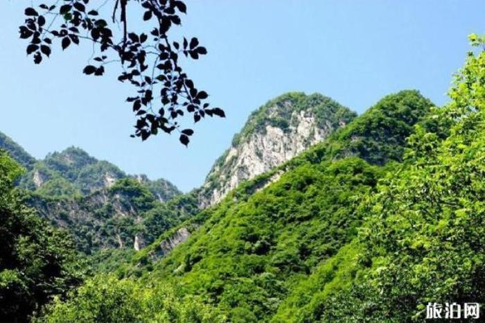 太平國(guó)家森林公園 太平國(guó)家森林公園