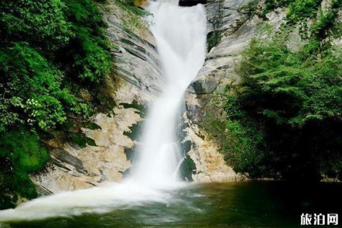 太平國(guó)家森林公園 太平國(guó)家森林公園