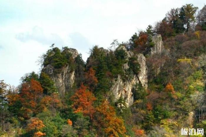 太平國(guó)家森林公園 太平國(guó)家森林公園