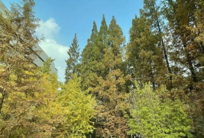 蘭溪-地下長(zhǎng)河景區(qū) 蘭溪-地下長(zhǎng)河景區(qū)